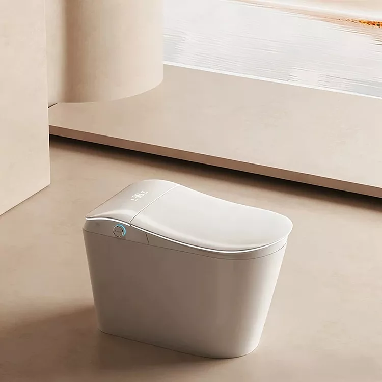 Bồn cầu thông minh tích hợp bộ lọc nước và xả bằng chân